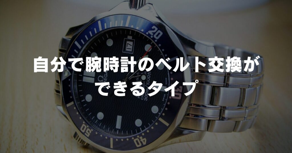 watch-belt-replaceable-type